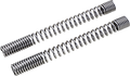 Fork Spring Kit