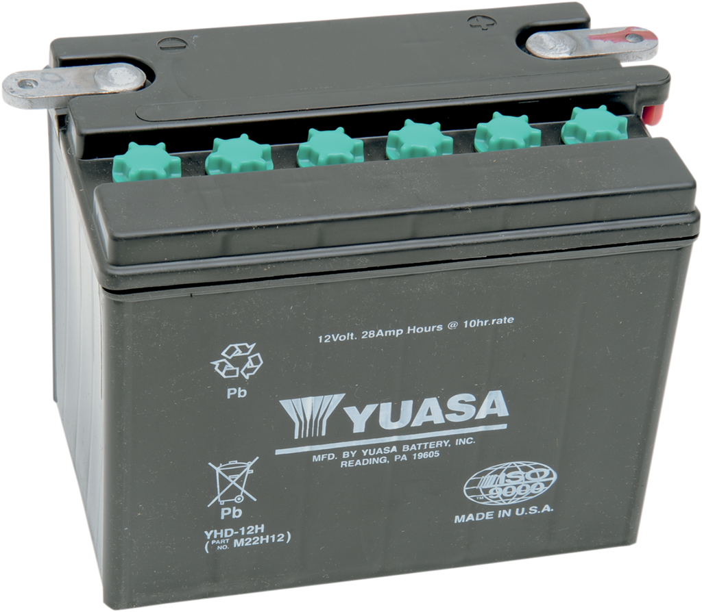 Conventional Battery — 12 V