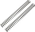 Fork Springs — 29.10 lb/in