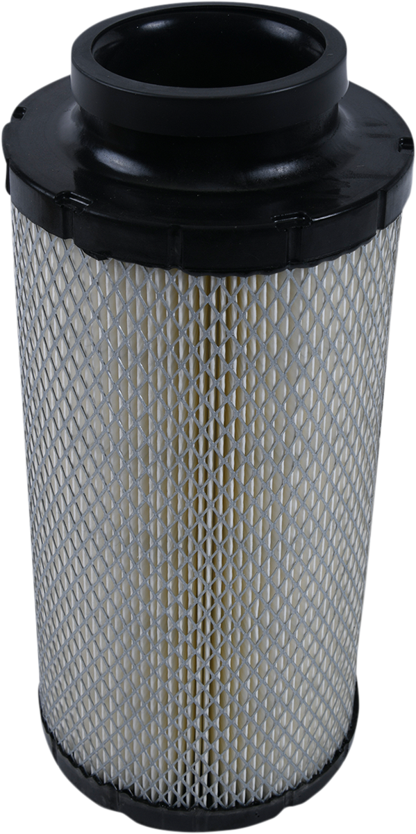 Air Filter Polaris