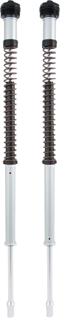 Fork Cartridge Kit