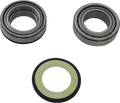 Steering Stem Tapered Roller Bearings and Seals Kit