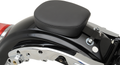 Rear Low Profile Passenger Seat