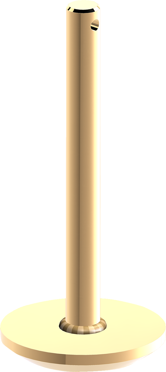 Plow Skid