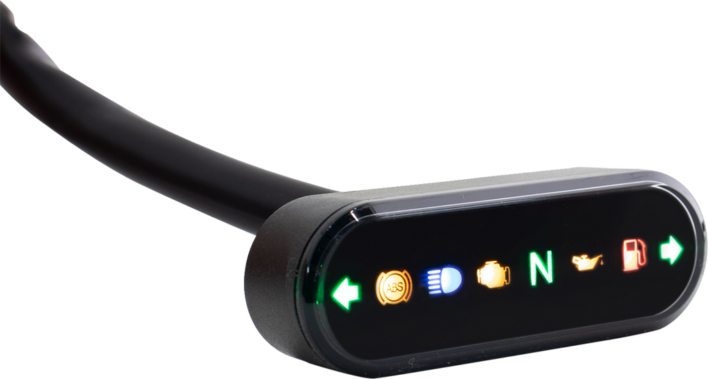 Gauge Indicator Light