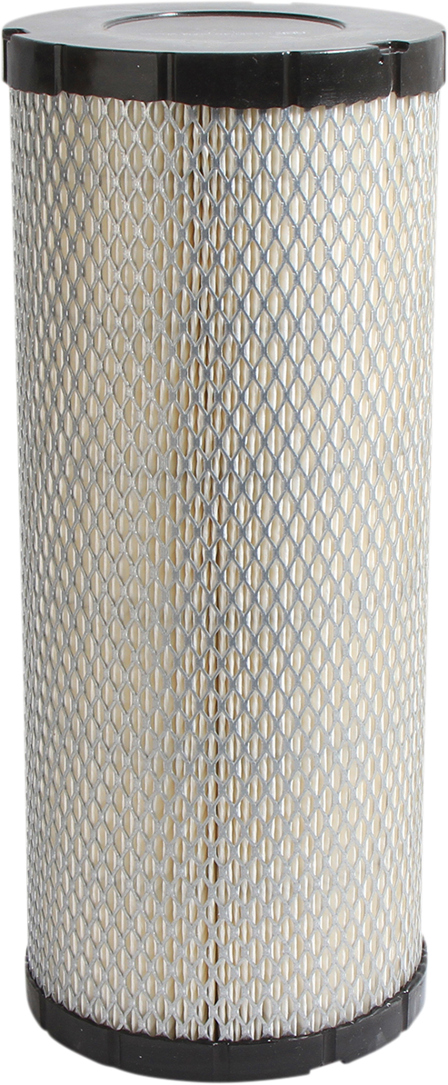 Air Filter Polaris