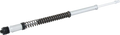 Fork Cartridge Kit