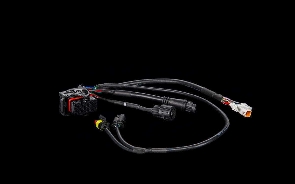 Stark Future Gen 2 Wiring harness