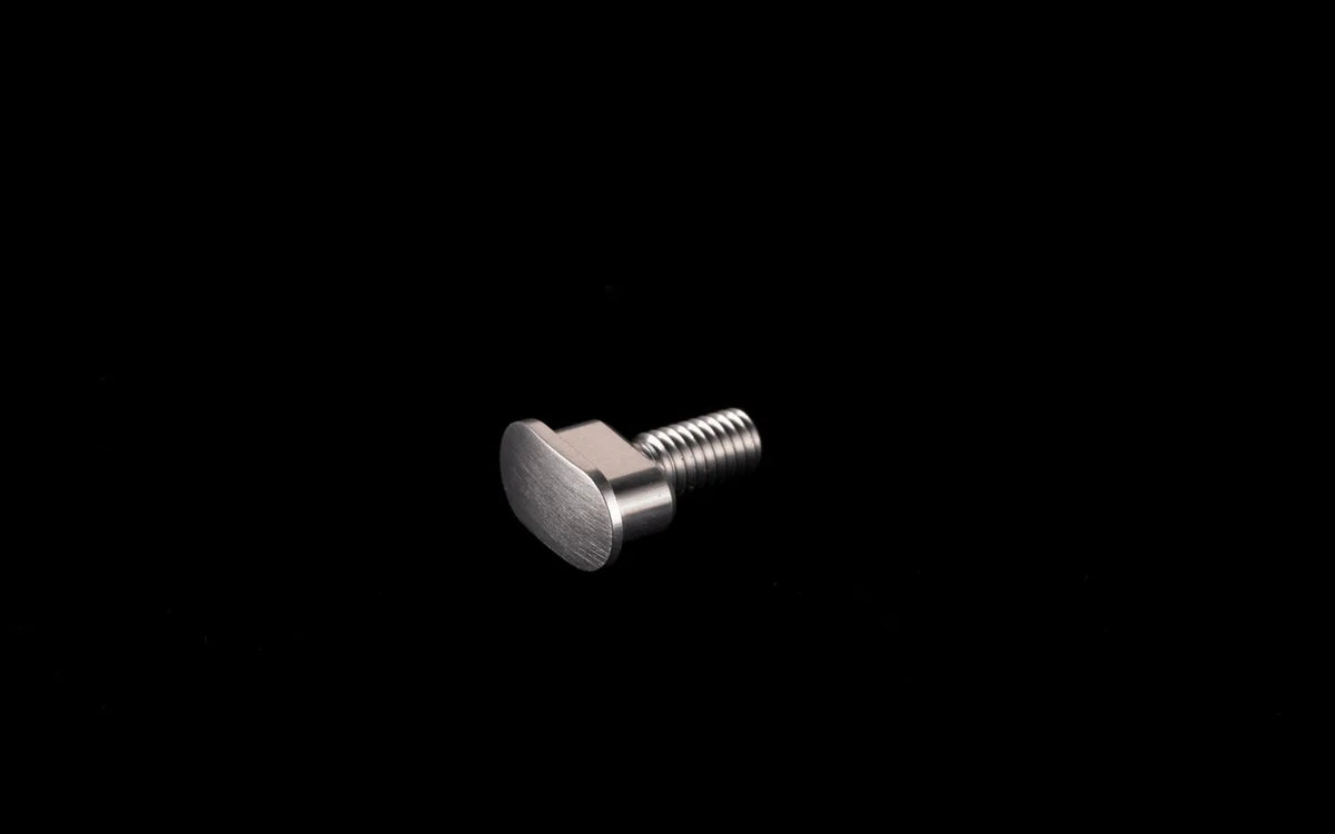 Stark Future M6 Oval-head bolt for licence plate holder