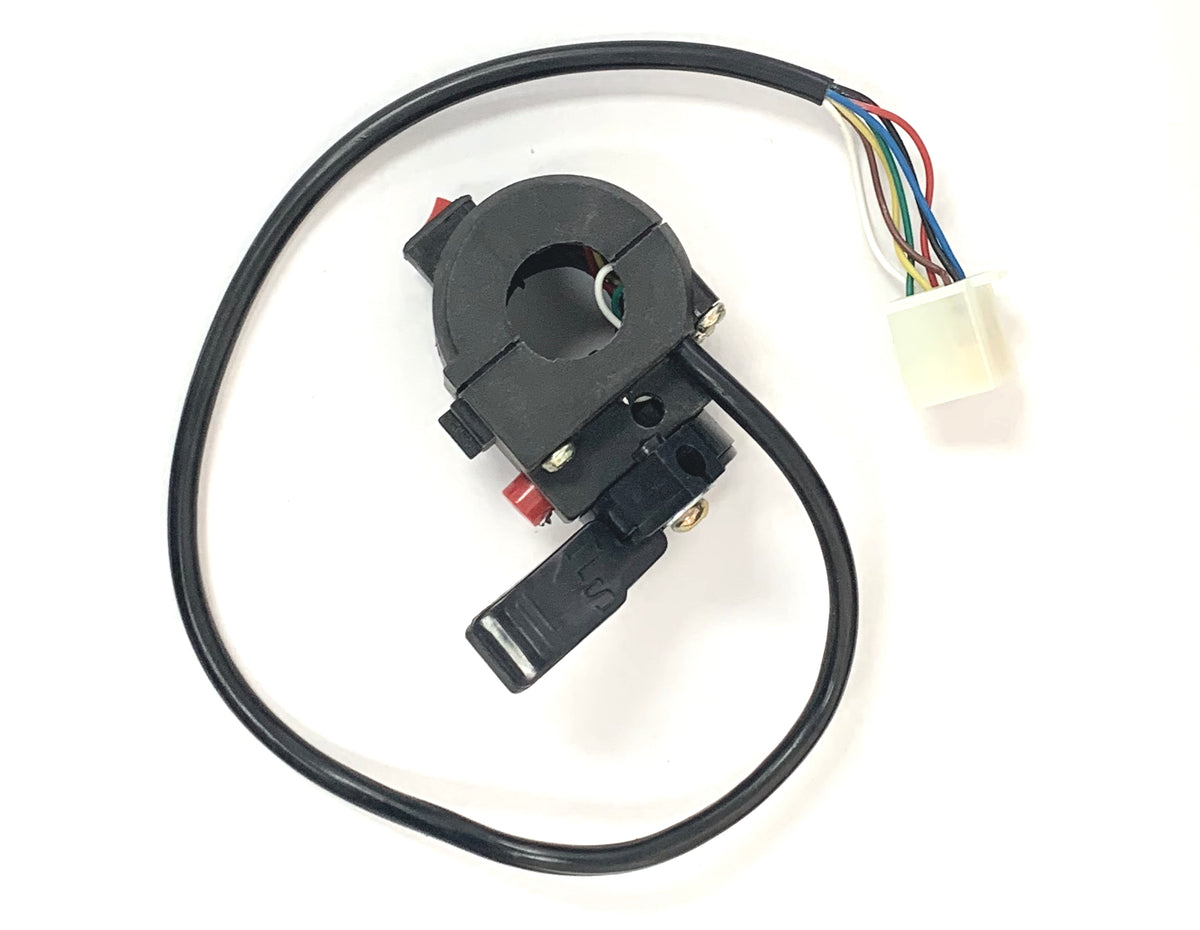 Apollo Left Starting Switch Assy 110cc