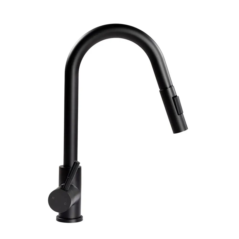 Flow Max™ Bullet Pull-Down Kitchen Faucet